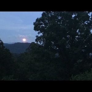 Meet your Posher, Irene